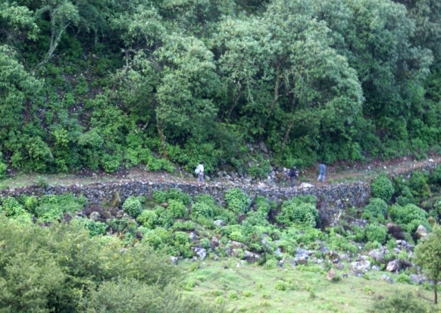  Trekking sulla collina 